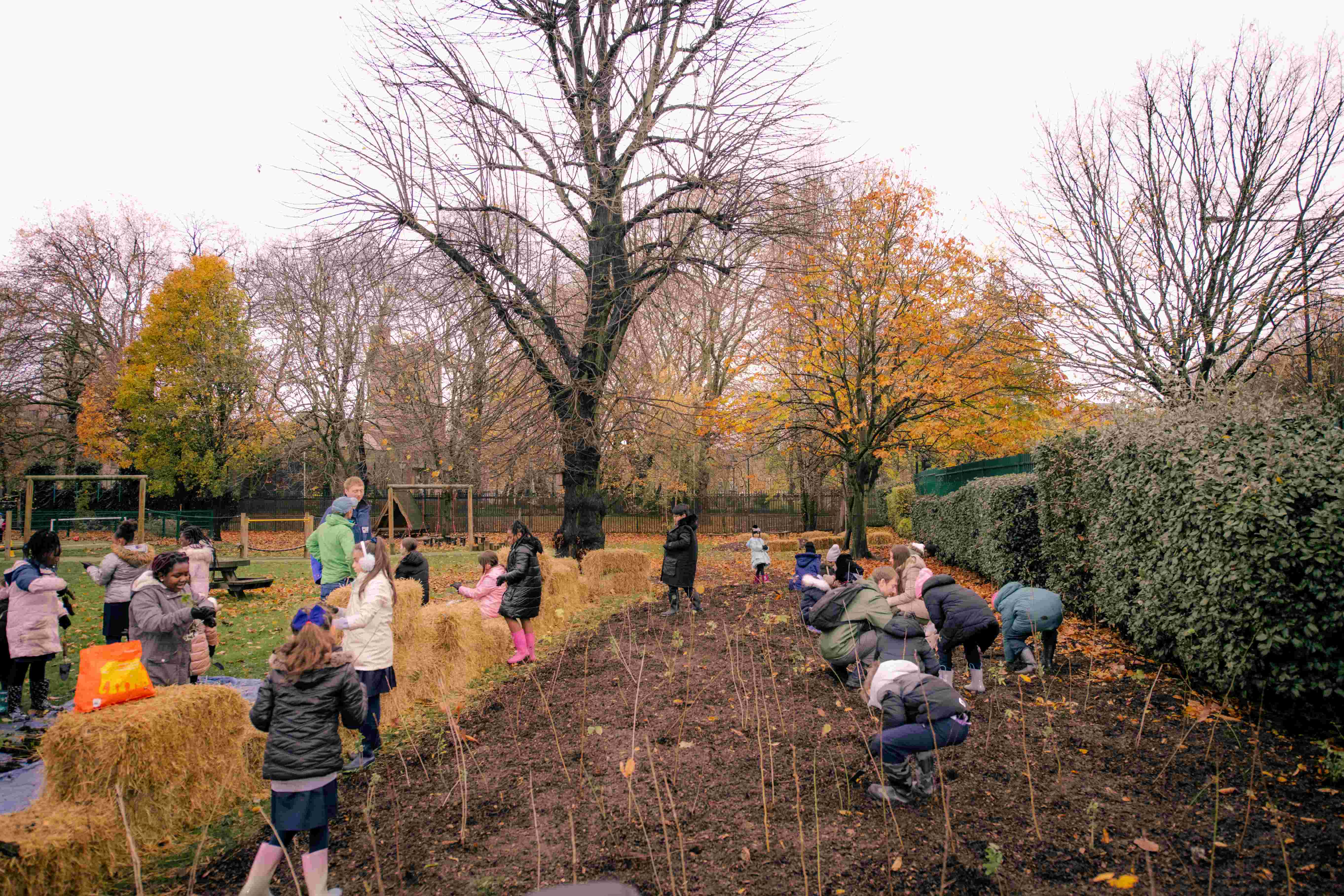 Climate week image of children playing in forest