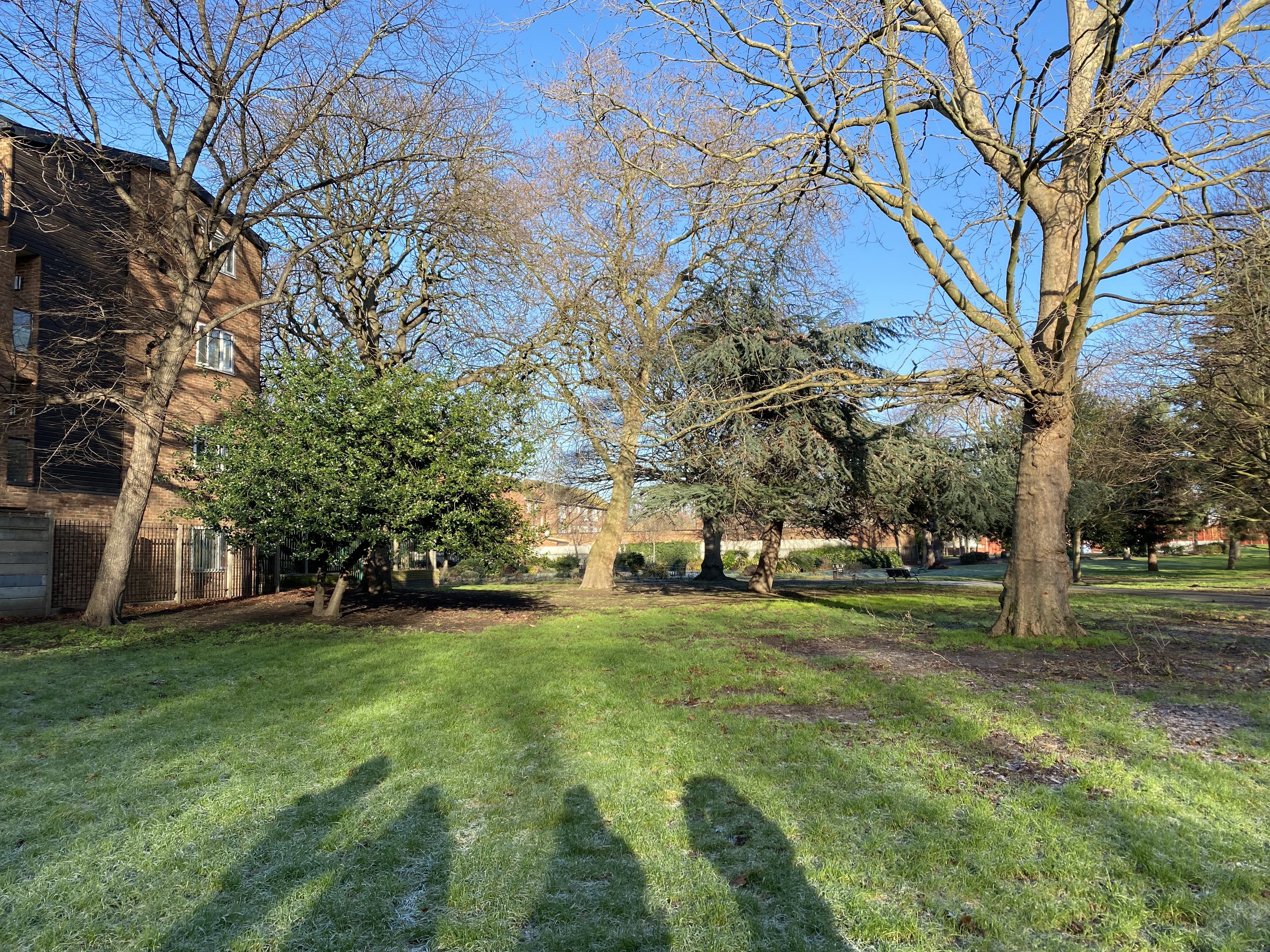 covid memorial garden