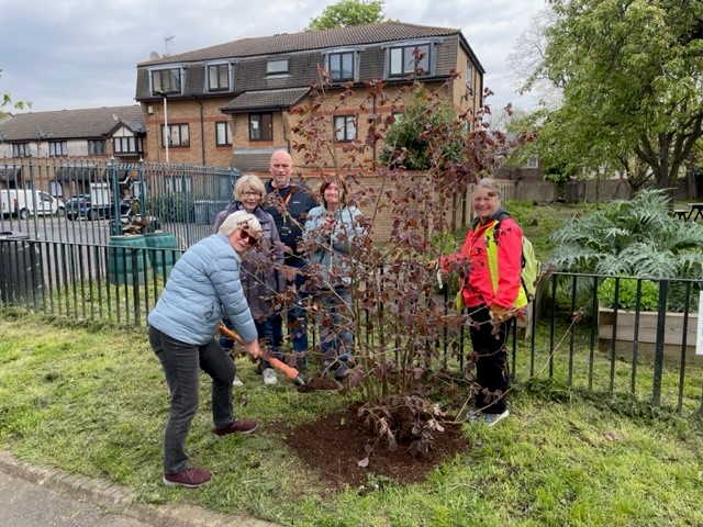 Tree planting with forest gate wi